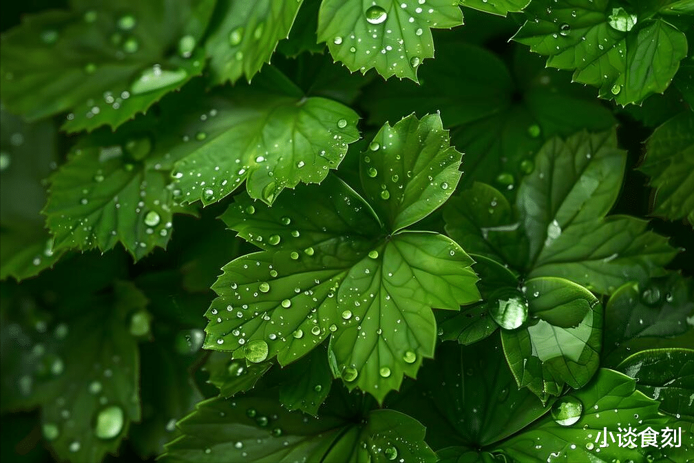 老话“中伏雨堵门，黄金进家门”，7月25日中伏，下雨有啥说法？