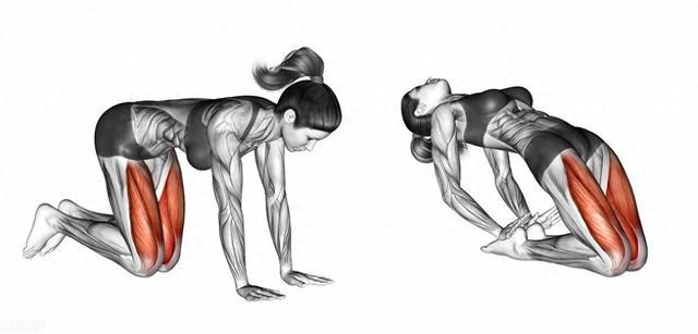 股四头肌锻炼法：四步塑造强健双腿