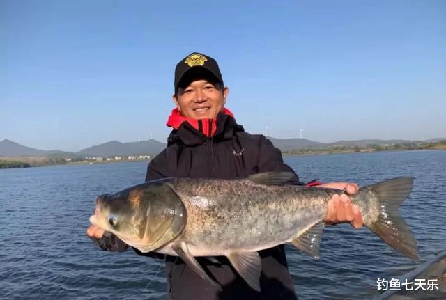 “老鬼鲢鳙饵”击穿底价，垂钓者迎来利好，邓刚还能扛得住吗？