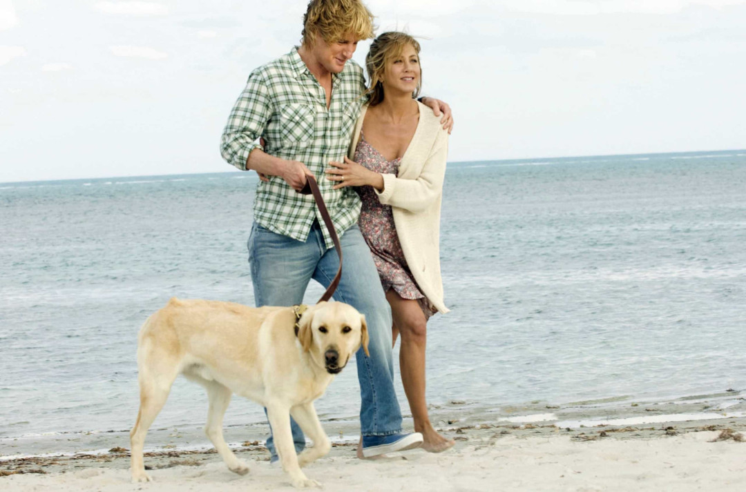 那些您不知道有续集的著名电影