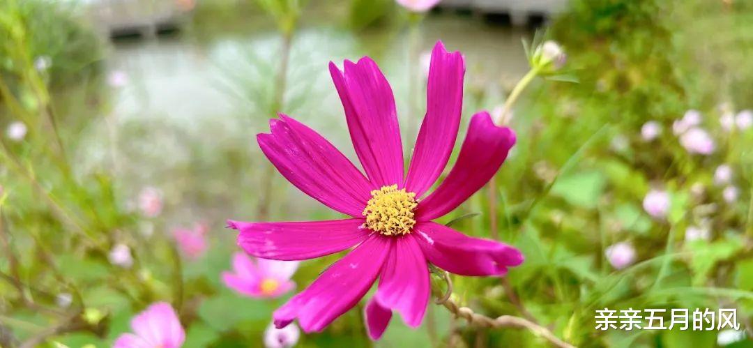 在单位里，心眼坏的人，一般有这三个特征，赶紧远离！