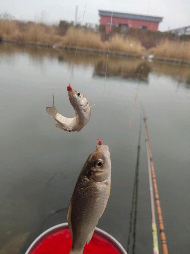 三月惊蛰，钓鱼的天气完全变了。钓鱼要看天气才能安排钓鱼的计划
