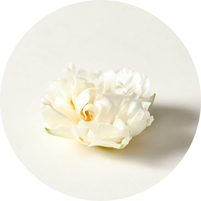 末伏喝碗“黄芪粥”，补虚、壮脾胃，还能减肥防大病！