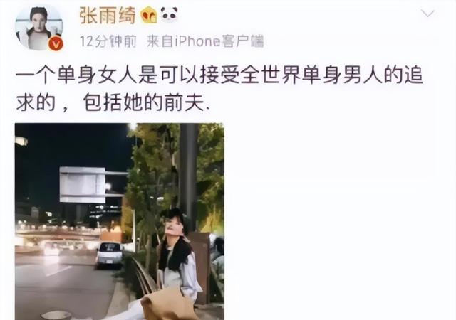 张雨绮与前夫聊天记录:不把你这个有狐臭的女人搞死,你又找别人
