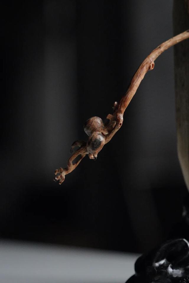 崖柏 | 达摩茶则&摆件