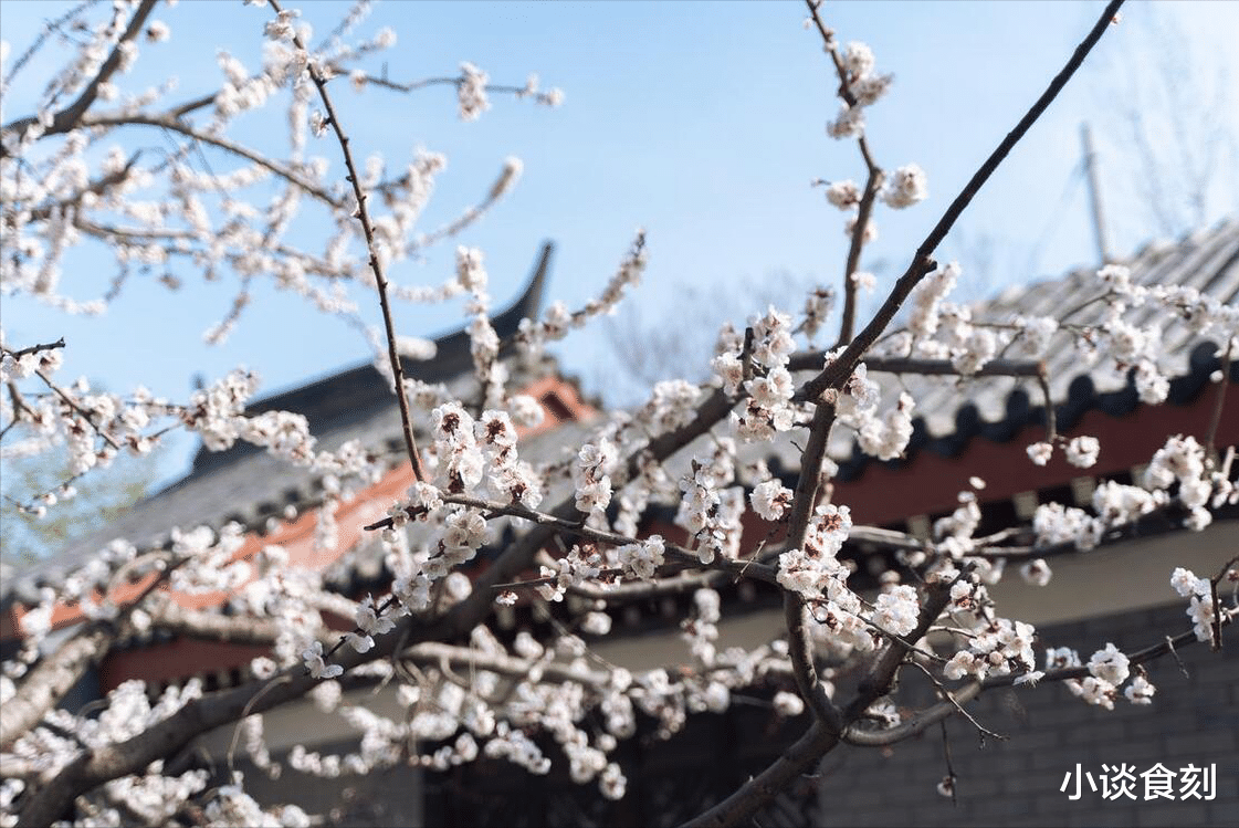 3月20日春分，老人说“最怕春分一日晴”，为啥要怕？农谚有答案