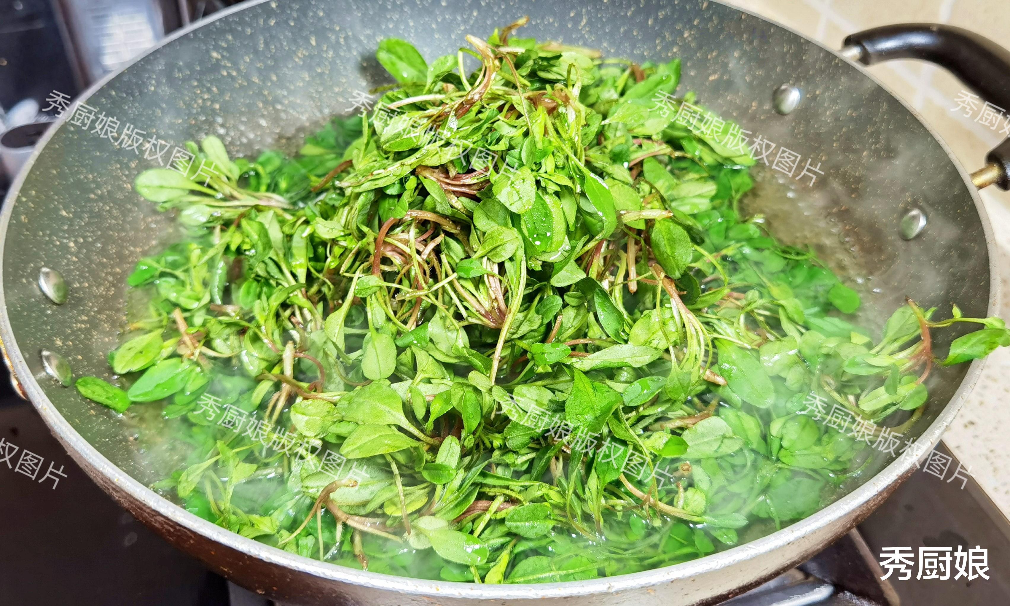 这菜全身是宝,以前常被当成杂草,如今成极品野菜,包饺子吃真香