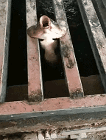 59岁香港最惨美男:帅到窒息却被雪藏,结三次婚又两度丧子