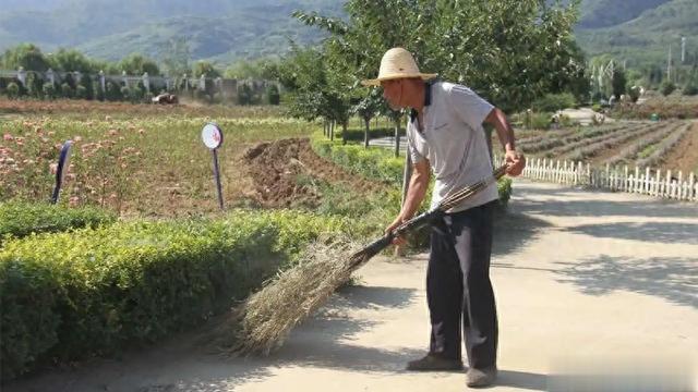 劳动为何不能代替运动锻炼?为你揭晓真相