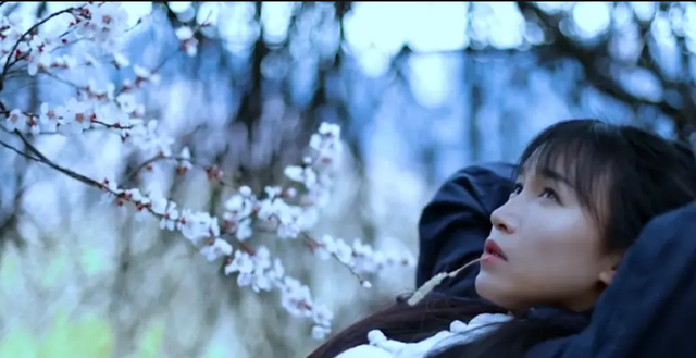 再见李子柒:这位小镇姑娘为何在一年后面貌大变?