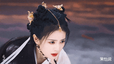 杨紫白鹿，正式开战