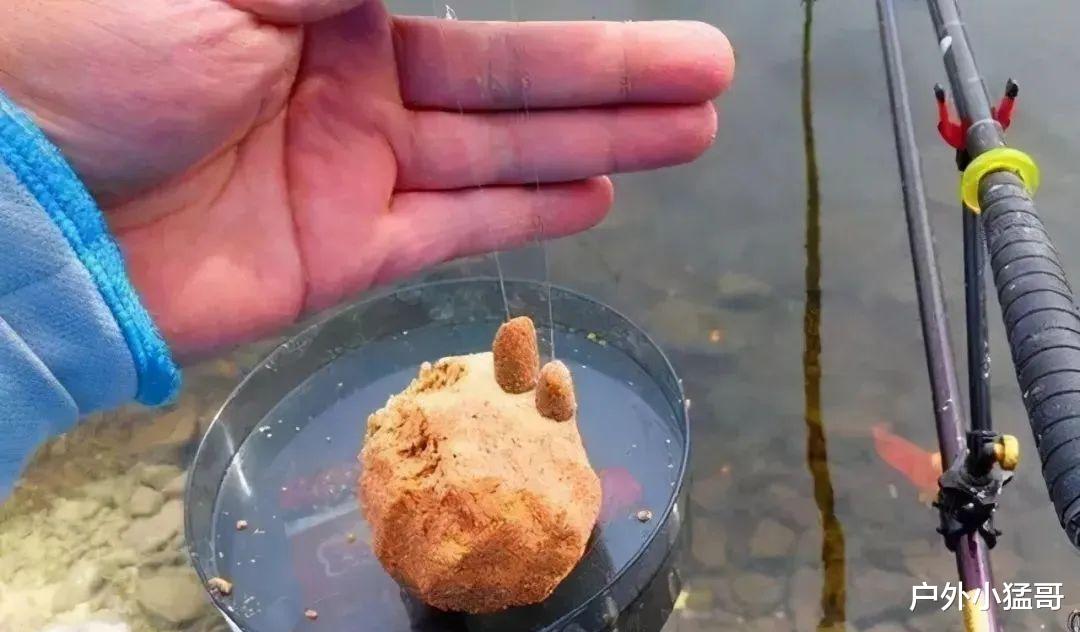 鲫鱼喜欢什么气味？学会轻松爆护