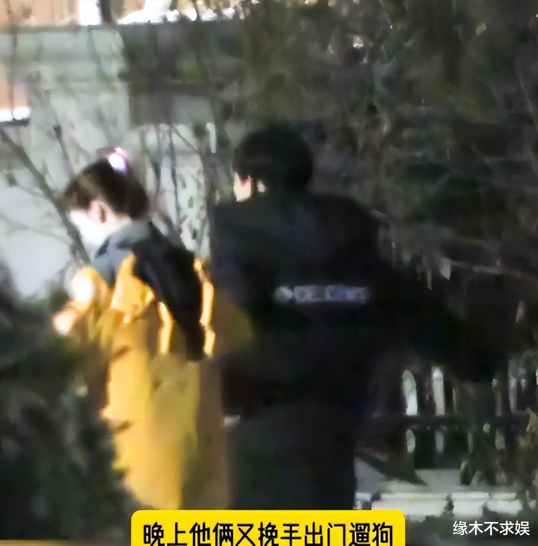 金晨拎礼物拜访胡夏父母！细节看出胡夏太贴心，双方粉丝却吵翻天