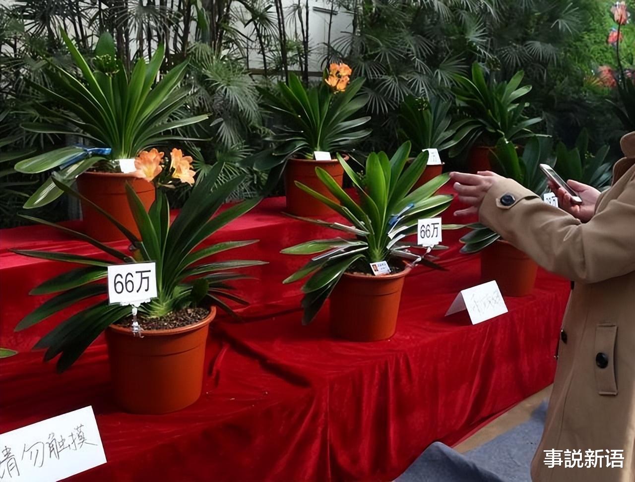 曾风靡全国的“骗局”,被捧上神坛,如今白菜价没人要