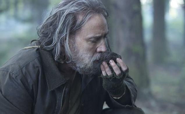 尼古拉斯·凯奇的另一面：10 部你从未看过的惊人之作！