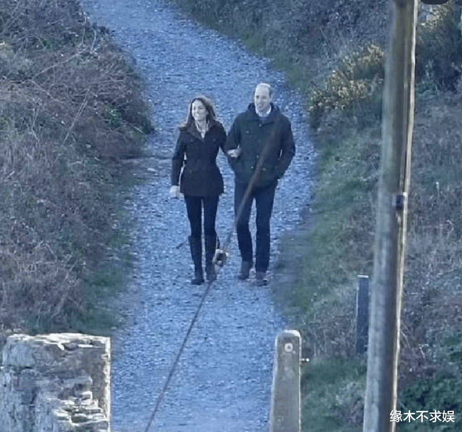 凯特王妃术后首露面，脸型变了沧桑太多，王室地位发生变化！