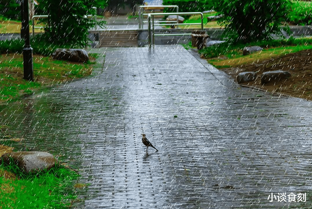 7月25中伏，“雨淋中伏头，遍地是黄金”啥意思？下雨有啥预兆？