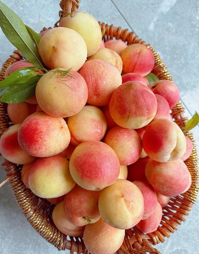 张馨予晒自家桃树结果200斤!网友:婚后的她活成我们羡慕的样子