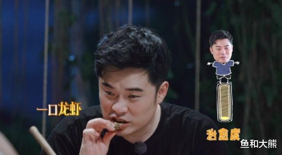 《向往》晚节不保？黄磊厨艺被嘲何炅成异食癖，陈赫回应眼神飘忽