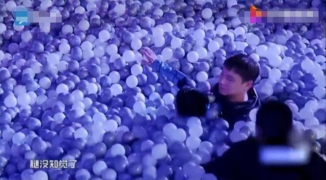 李玟|国家终于出手了！6个综艺节目被强制停播，没有一个值得同情