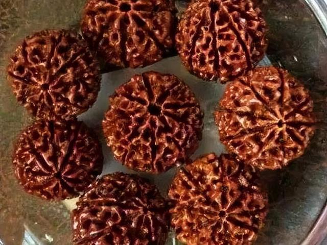 如何入手一条金刚菩提？