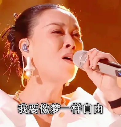 歌手|好声音丑闻再现?那英《歌手》夺冠是剧本,建议调查芒果台