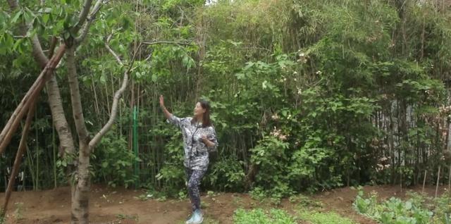 去世9个月后,娱乐圈的人走茶凉,在周海媚身上展现得淋漓尽致