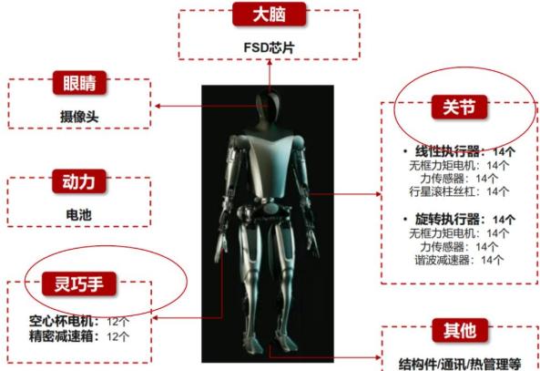 人形机器人动力核心:滚珠丝杠与轴承