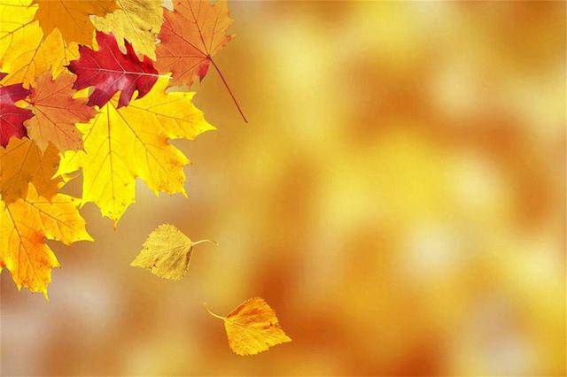 秋燥易上火,建议少吃羊肉猪肉,多吃“3白2绿”,清爽去燥好过秋