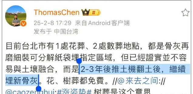 大S树葬计划受阻？骨灰新处理方式曝光，震惊业界！