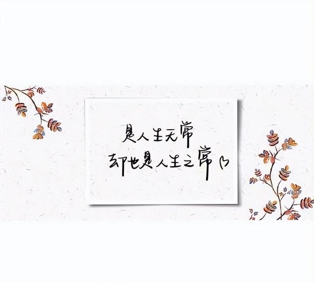 谢雷承认有剧本,本来我已经完成任务要领盒饭,结果又被叫回来了