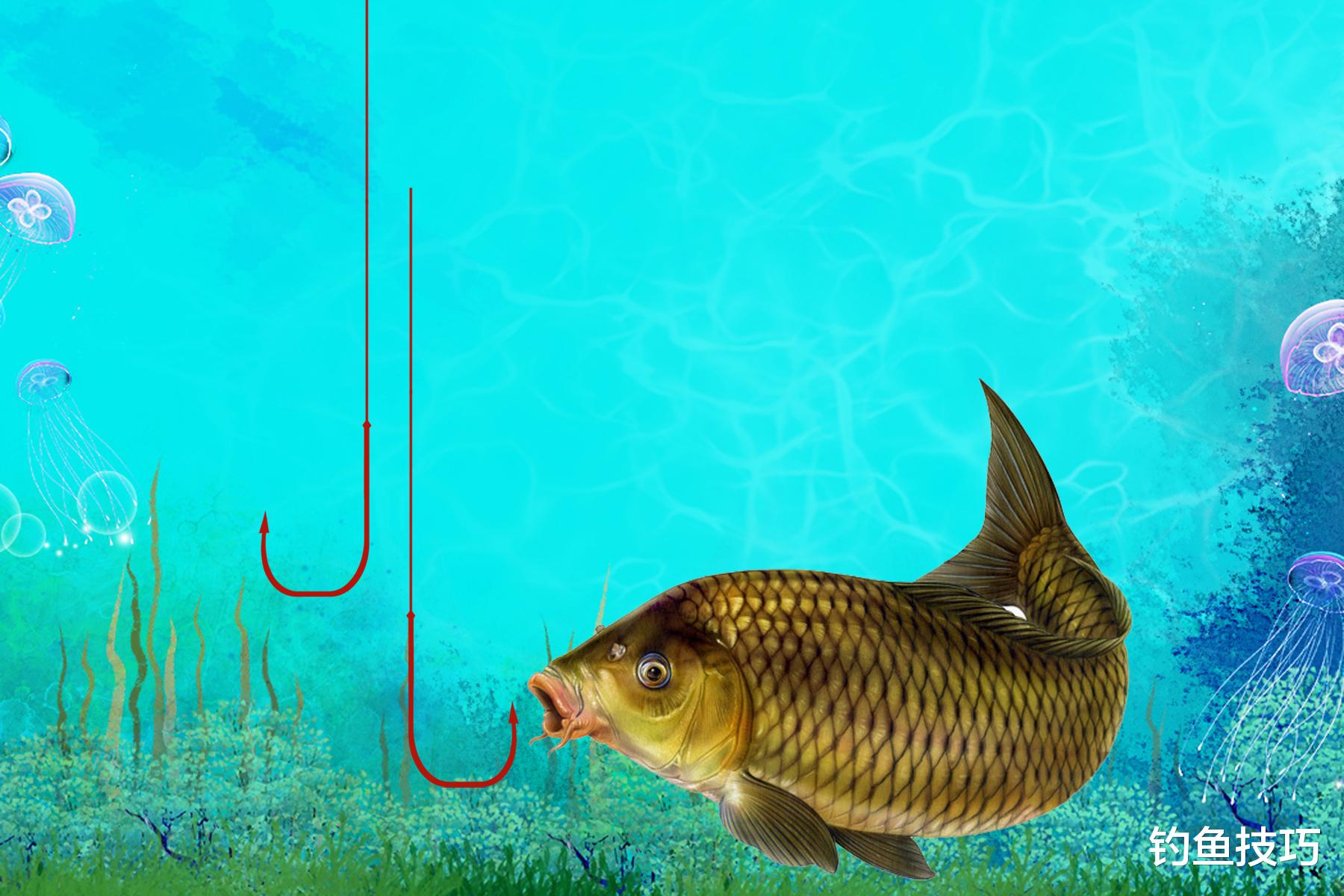 肥水和瘦水钓鱼用饵的口诀，黑坑野钓都管用