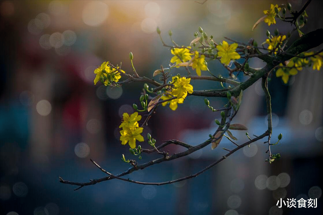 “廿六3不做，做了福气散”，明日农历二月廿六啥日子？哪3不做？