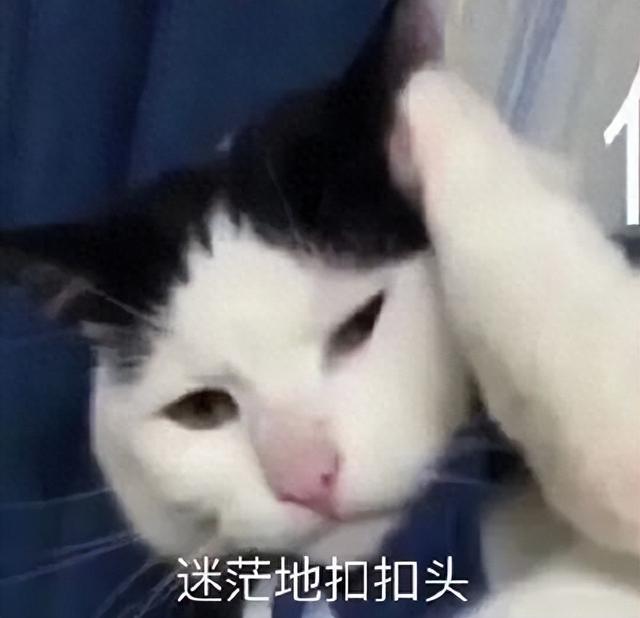這個僅98g的眼鏡，讓蘋果Vision Pro無地自容