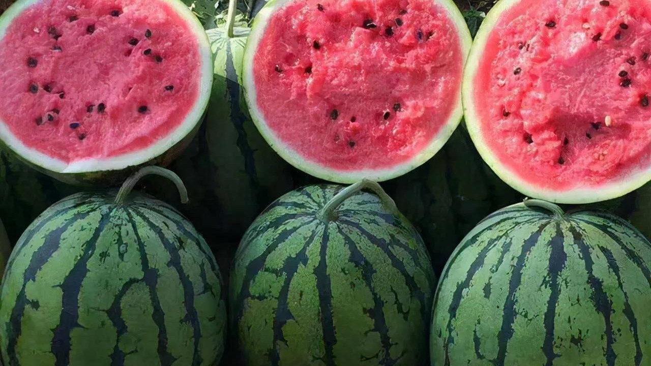中国哪里的西瓜最好吃？经过评选，这8个地方上榜，有你家乡吗？