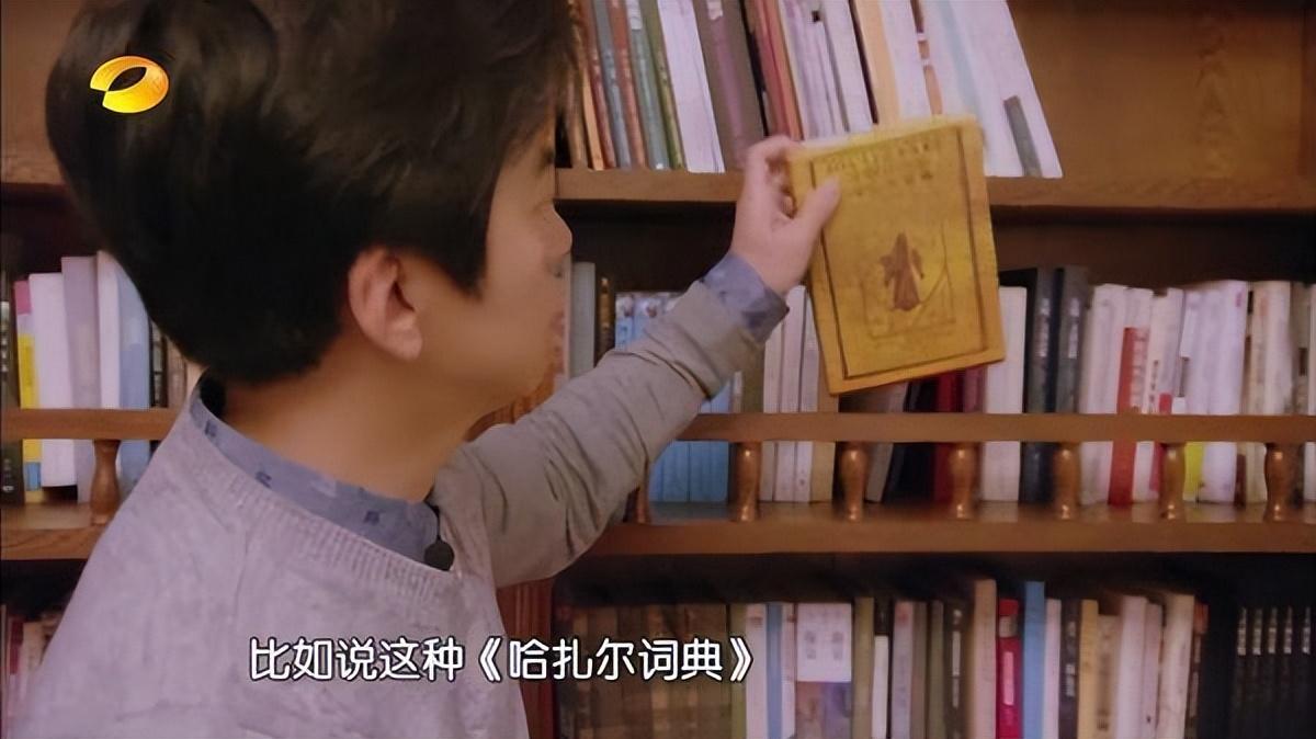 49岁李健的“豪宅”火了,装饰温馨,无一丝俗气,一进屋就被治愈