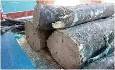 坑人的“沉香木”!