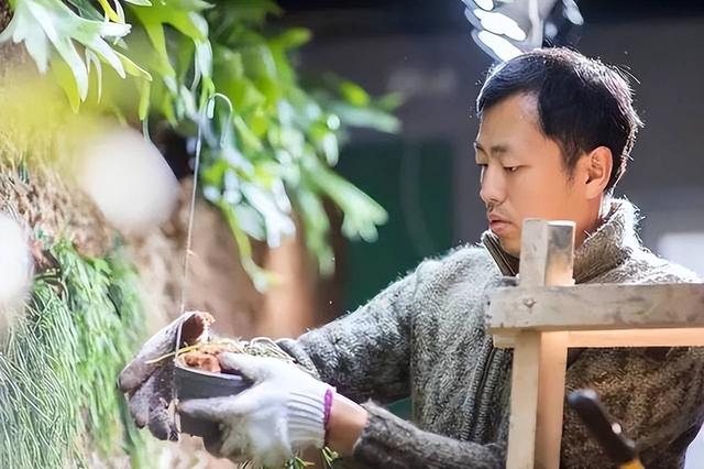 王昱珩|鬼才之眼王昱珩：清华毕业没上过一天班，退出最强大脑，后来怎样