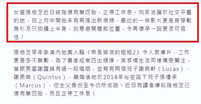 突发!张柏芝遭前老板曝猛料,暗讽其曾为了钱不惜自认是一条狗!