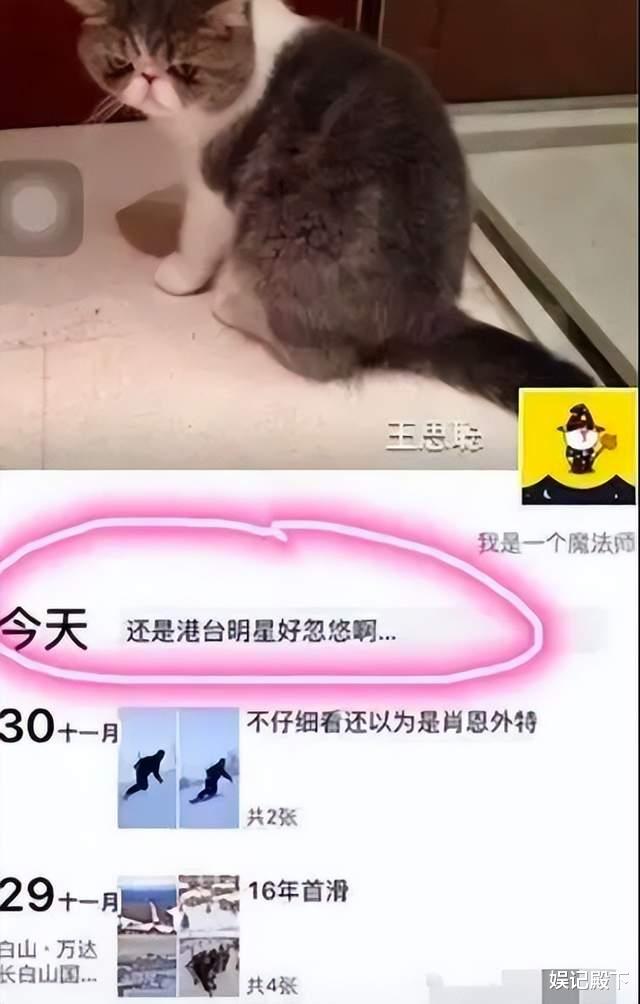 名媛班上钩男星高达多人，影帝天王皆在其中，这些男星为何爱假脸