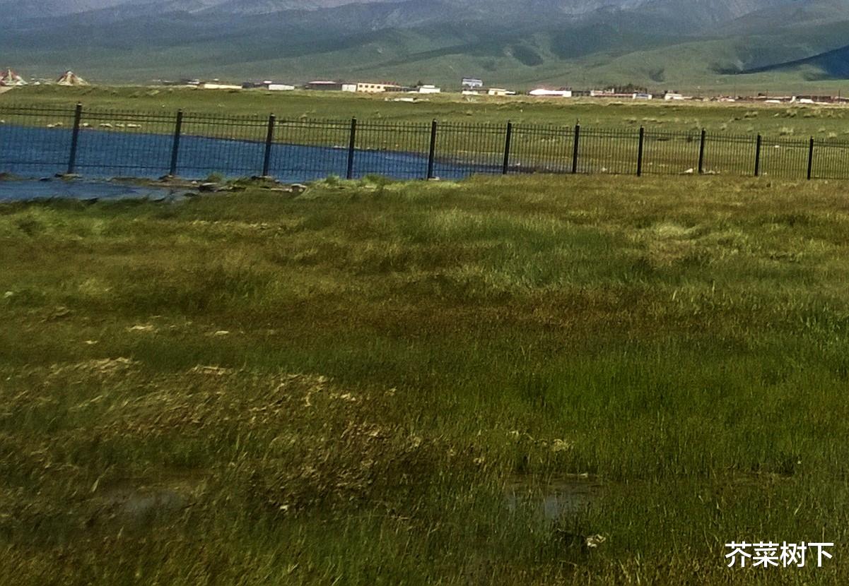 职场有选择,最好别“偏科”