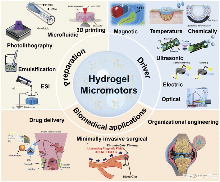 水凝膠微型機(jī)器人，材料多樣性能優(yōu)