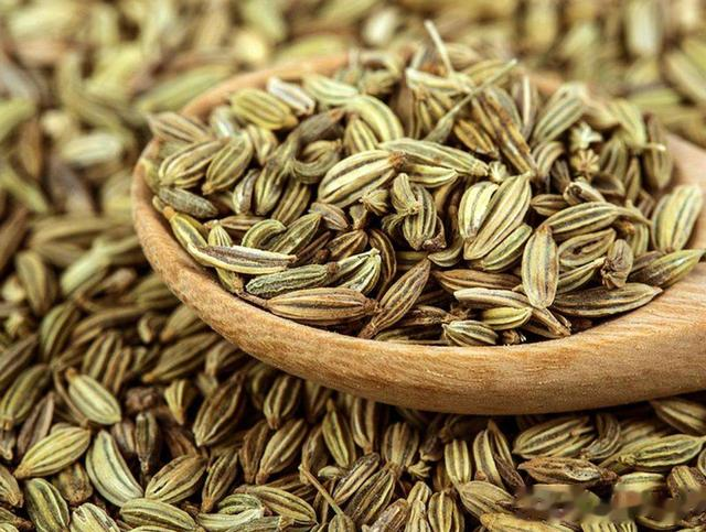 觉得牛肉难炖？关键放5种香料，卤牛肉软烂不柴，鲜香入味不塞牙