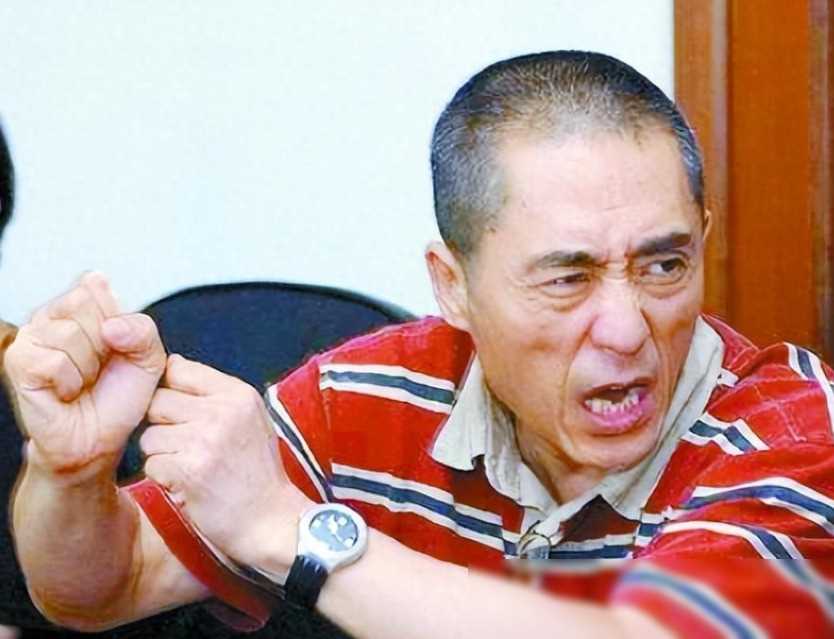 张艺谋的担心是对的!当“整容脸”的风吹进央视,连郑晓龙都翻车