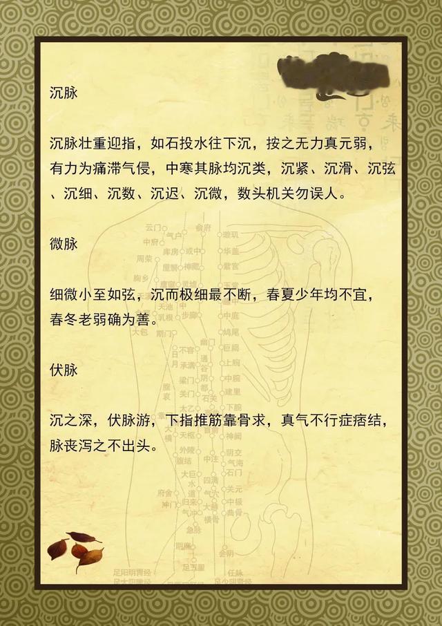 揭开号脉的面纱：中医教你号脉，附号脉歌诀，收藏起来一起学学吧