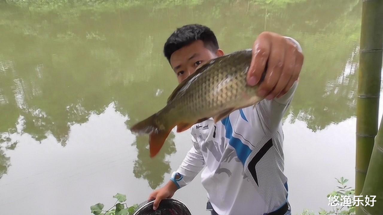 谷麦逗钓凭啥能“封神”？究竟是啥“鬼”？它的“精髓”是啥？