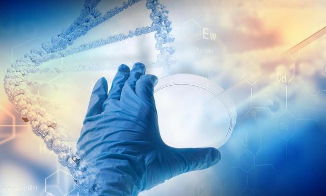 “尿酸杀手”被揪出，是牛肉的10倍，医生叮嘱，很多人不听劝