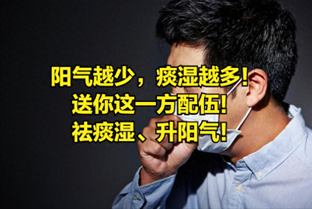 阳气越少，痰湿越多！送你这一方配伍，祛痰湿、升阳气！