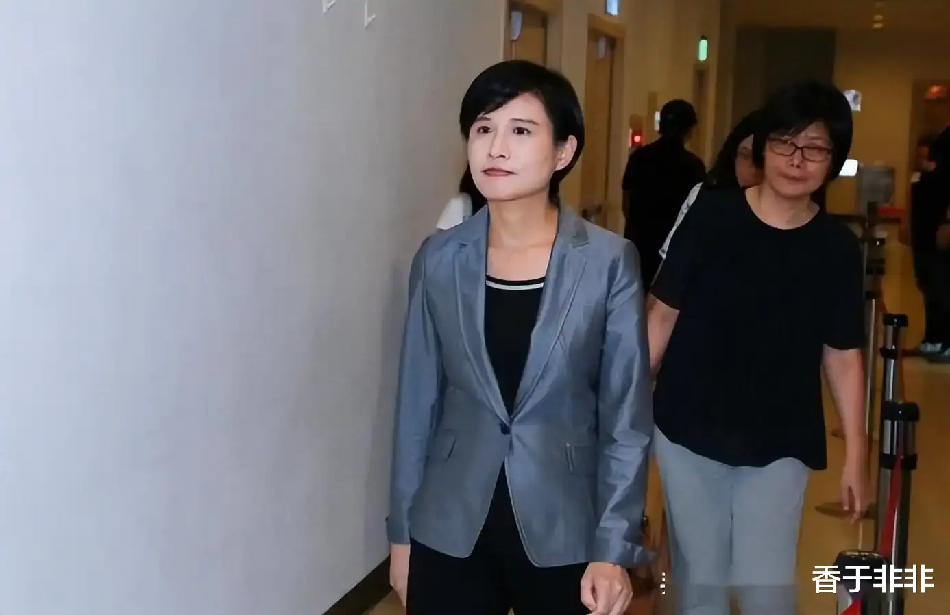 19年“台独”分子郑丽君：大肆宣扬“去中国化”，遭明星当众掌掴