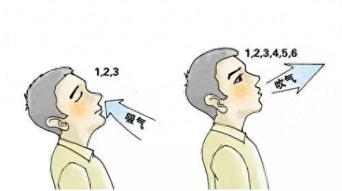 一动就喘为何更要锻炼？如何找到适合自己的运动强度？